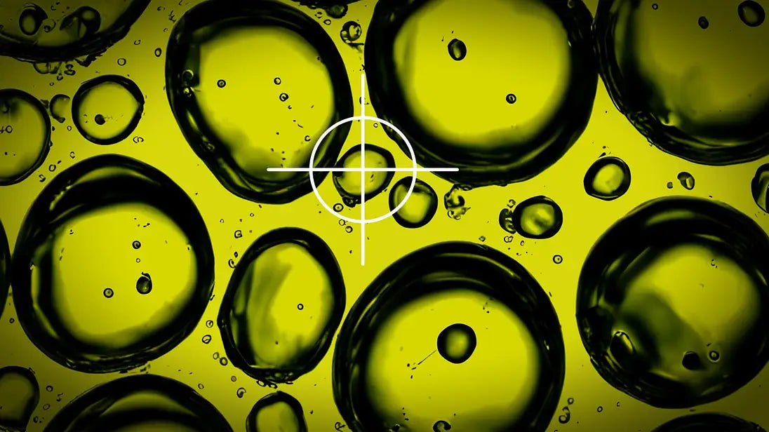 Latest HEALTH BENEFIT research into Extra Virgin Olive Oil. Olives&Oils(O&O)