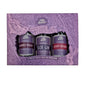 Sloemotion Hedgerow Liqueurs Gift Set 3 x 5cl Olives&Oils(O&O)